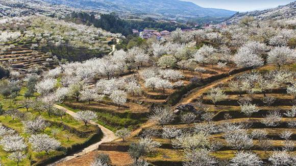 Casas Rurales El Cerro Y El Cerezo Наваконсехо Екстер'єр фото
