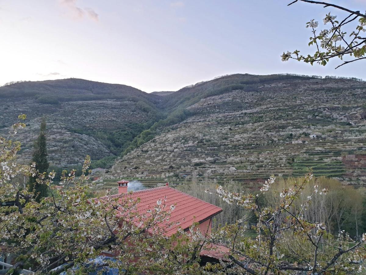Casas Rurales El Cerro Y El Cerezo Наваконсехо Екстер'єр фото