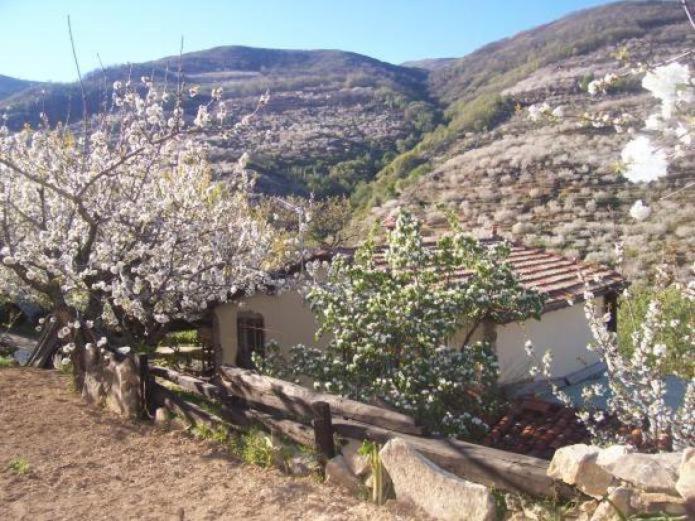 Casas Rurales El Cerro Y El Cerezo Наваконсехо Екстер'єр фото